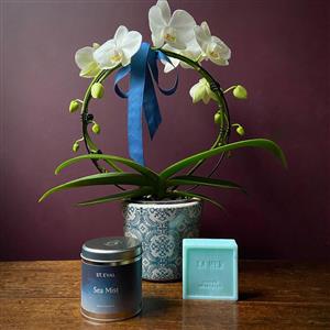 Eternity Orchid Gift Set