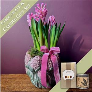 Pink Hyacinth Chocolate &amp; Candle Gift