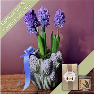 Blue Hyacinth Chocolate &amp; Candle Gift