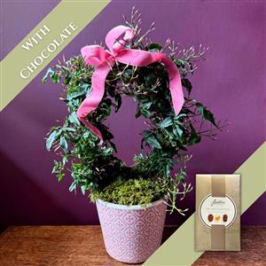 Jasmine &amp; Chocolates