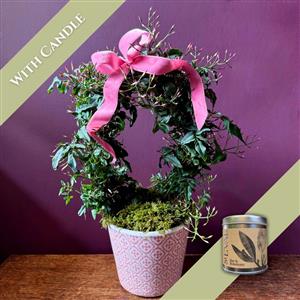 Jasmine &amp; Candle