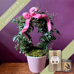 Jasmine Chocolate &amp; Candle Gift